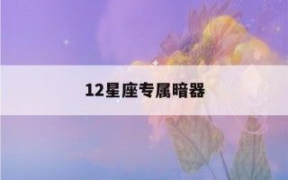 12星座专属暗器(12星座专属暗器金翅翎羽)