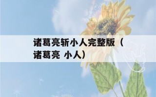 诸葛亮斩小人完整版（诸葛亮 小人）