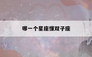 哪一个星座懂双子座(哪一个星座最懂双子座)