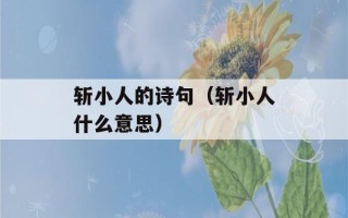 斩小人的诗句（斩小人什么意思）