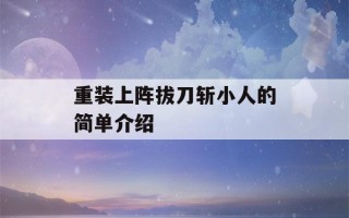 重装上阵拔刀斩小人的简单介绍