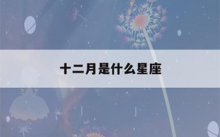 十二月是什么星座(十二月二十三是什么星座)