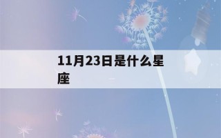 11月23日是什么星座(10月23日是什么星座)