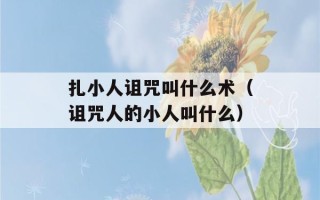 扎小人诅咒叫什么术（诅咒人的小人叫什么）