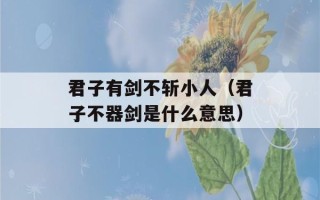 君子有剑不斩小人（君子不器剑是什么意思）