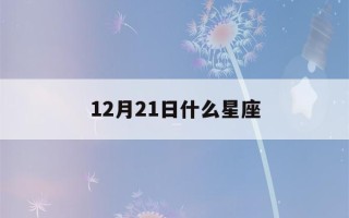 12月21日什么星座(国历12月21日什么星座)