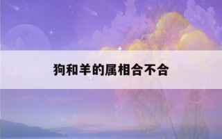 狗和羊的属相合不合(鸡和羊的属相合不合)