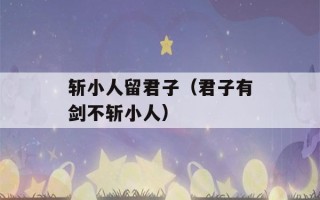 斩小人留君子（君子有剑不斩小人）