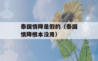 泰国情降是假的（泰国情降根本没用）