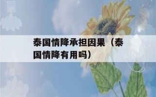 泰国情降承担因果（泰国情降有用吗）