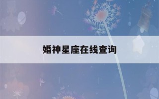 婚神星座在线查询(婚神星座在线查询表)