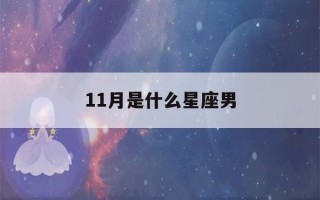 11月是什么星座男(11是什么星座男生)