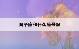 双子座和什么座最配(12星座双子座和什么座最配)