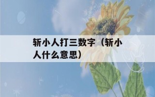 斩小人打三数字（斩小人什么意思）