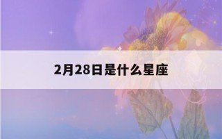 2月28日是什么星座(农历2月28日是什么星座)