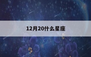 12月20什么星座(射手座男生性格特点)