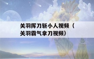 关羽挥刀斩小人视频（关羽霸气拿刀视频）