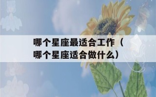 哪个星座最适合工作（哪个星座适合做什么）