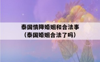 泰国情降婚姻和合法事（泰国婚姻合法了吗）