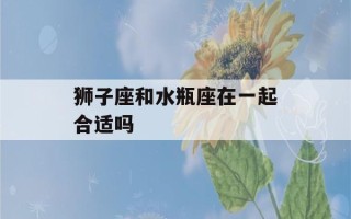 狮子座和水瓶座在一起合适吗(最容易爱上狮子座的三大星座)