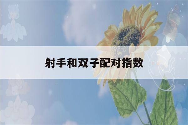 射手和双子配对指数(射手双子配对指数是多少)-第1张图片-星座花