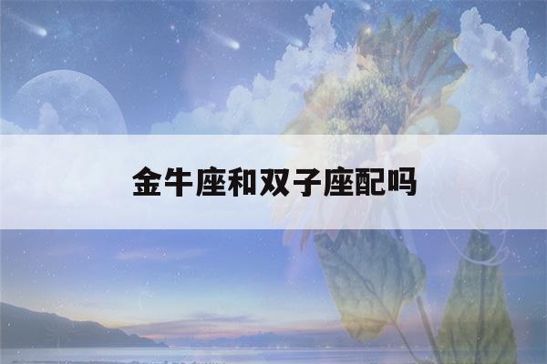 金牛座和双子座配吗(金牛座的命中绝配)-第1张图片-星座花