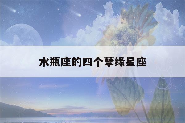 水瓶座的四个孽缘星座(水瓶座最讨厌的6大星座)-第1张图片-星座花