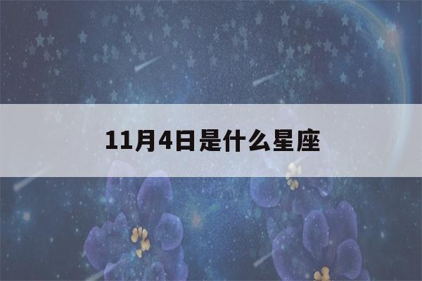 11月4日是什么星座(阳历11月4日是什么星座)-第1张图片-星座花