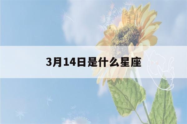 3月14日是什么星座(农历3月14日是什么星座)-第1张图片-星座花