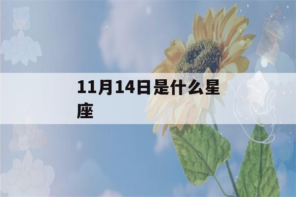 11月14日是什么星座-第1张图片-星座花