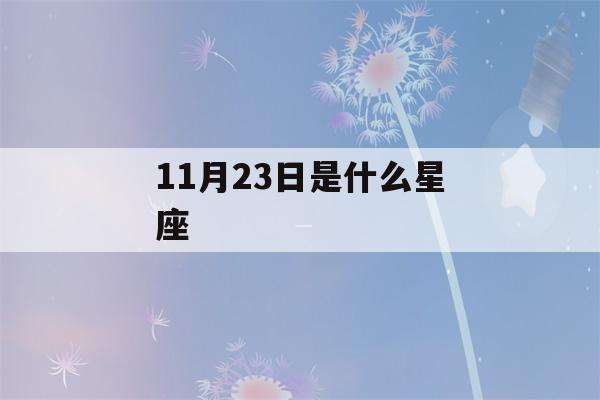 11月23日是什么星座(10月23日是什么星座)-第1张图片-星座花