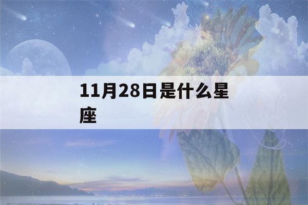 11月28日是什么星座(射手座)-第1张图片-星座花