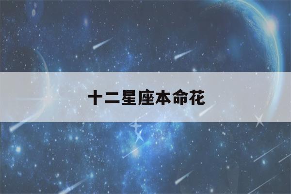 十二星座本命花(金牛座本命花)-第1张图片-星座花