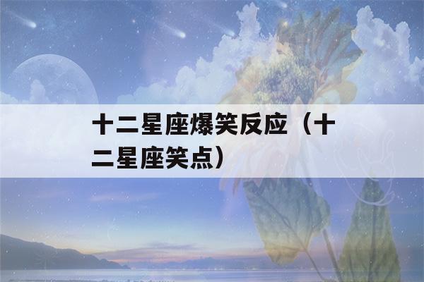 十二星座爆笑反应（十二星座笑点）-第1张图片-星座花