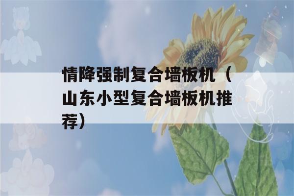 情降强制复合墙板机（山东小型复合墙板机推荐）-第1张图片-星座花