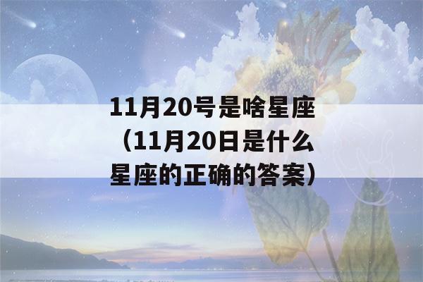 11月20号是啥星座（11月20日是什么星座的正确的答案）-第1张图片-星座花