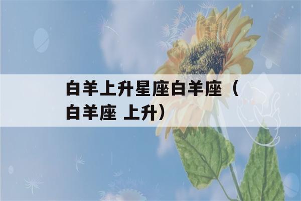 白羊上升星座白羊座（白羊座 上升）-第1张图片-星座花