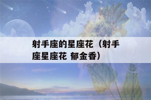 射手座的星座花（射手座星座花 郁金香）-第1张图片-星座花