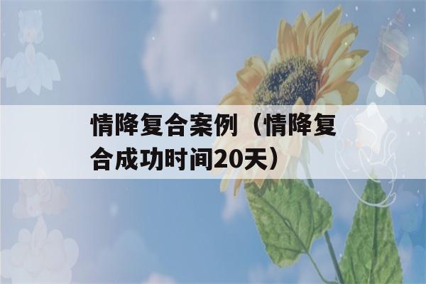 情降复合案例（情降复合成功时间20天）-第1张图片-星座花