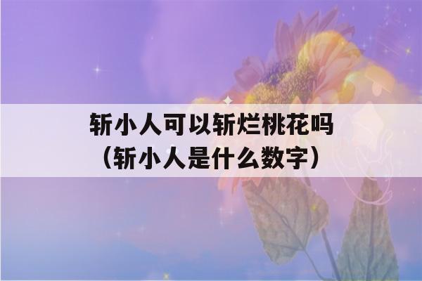 斩小人可以斩烂桃花吗（斩小人是什么数字）-第1张图片-星座花