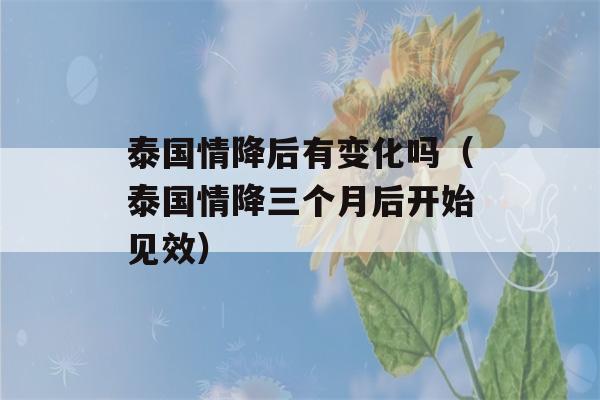 泰国情降后有变化吗（泰国情降三个月后开始见效）-第1张图片-星座花